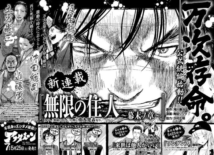 Blade Of The Immortal Sequel