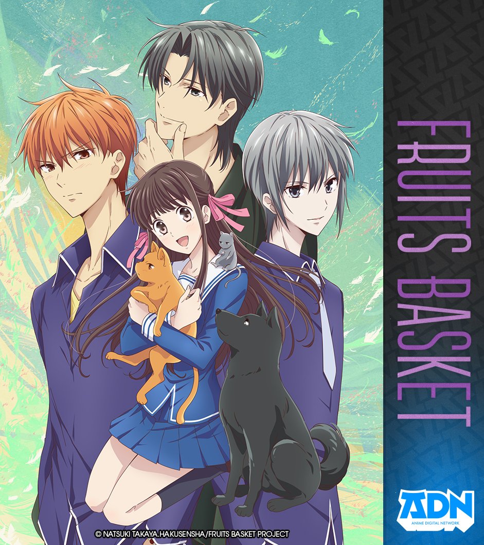 Fruits Basket ADN