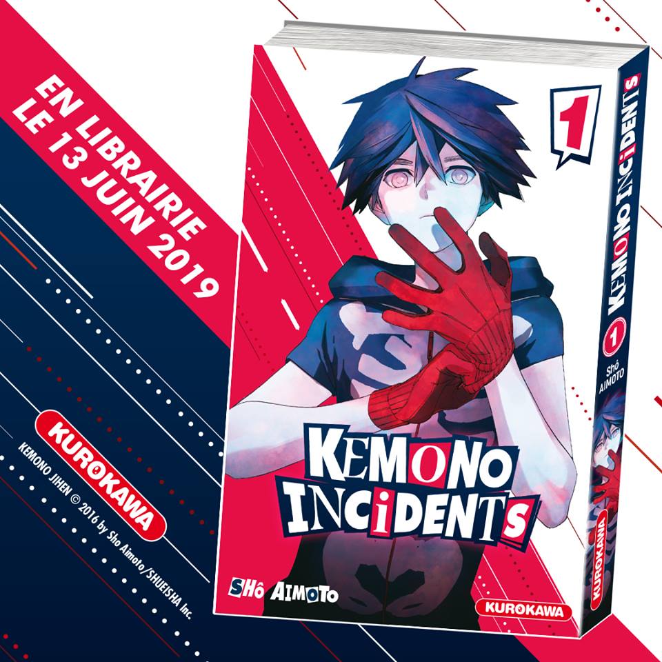 Kemono Incidents Cover