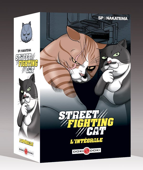 Coffret street fighting cats 