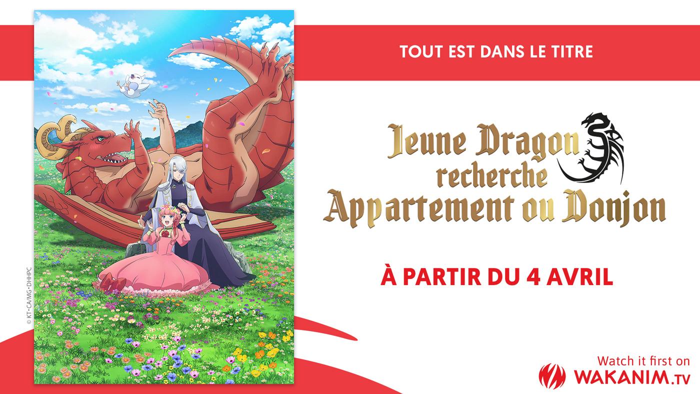 Jeune Dragon Recherche Appartement ou Donjon Wakanim