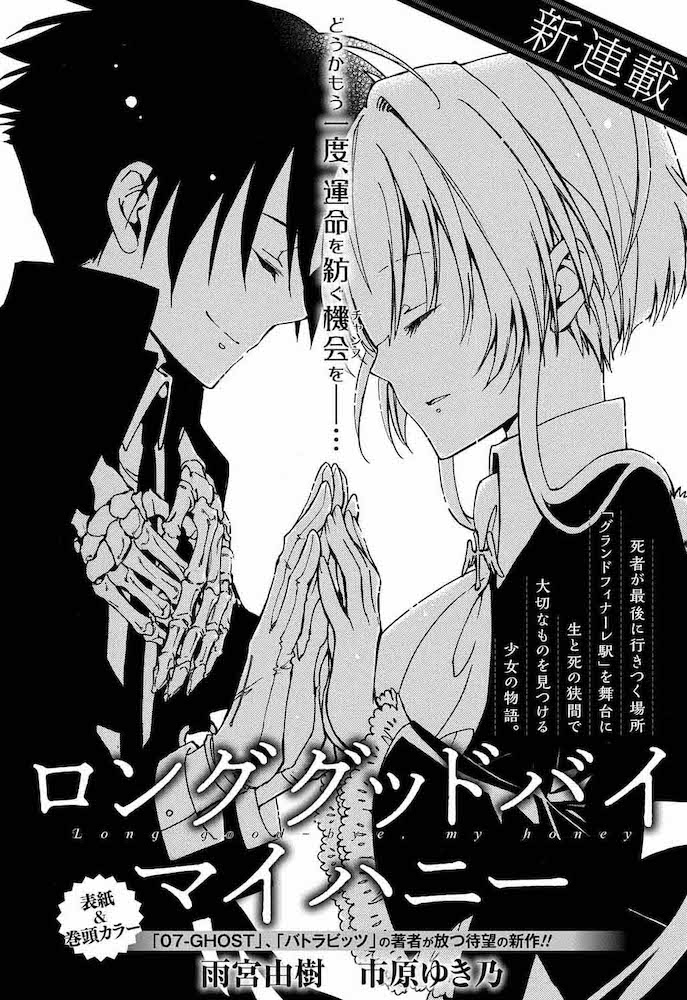 Long Goodbye My Honey Visuel