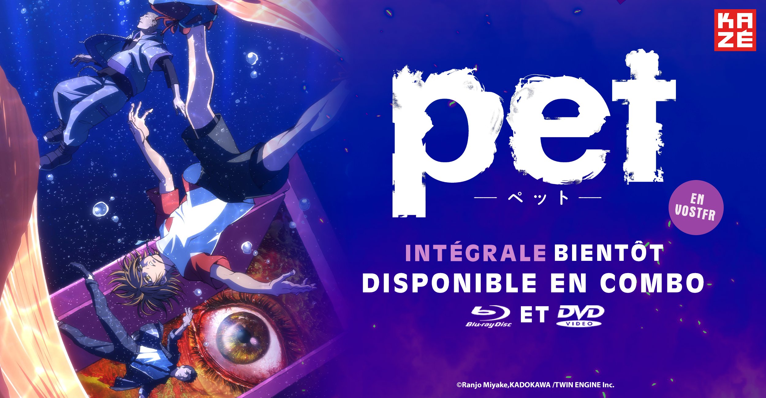 Pet Annonce Physique