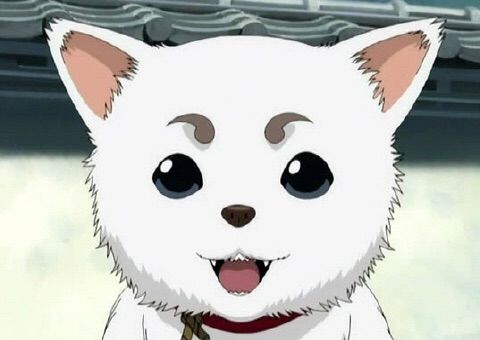 Sadaharu Gintama