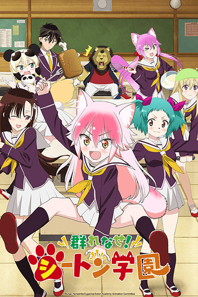 Seton Academy Affiche