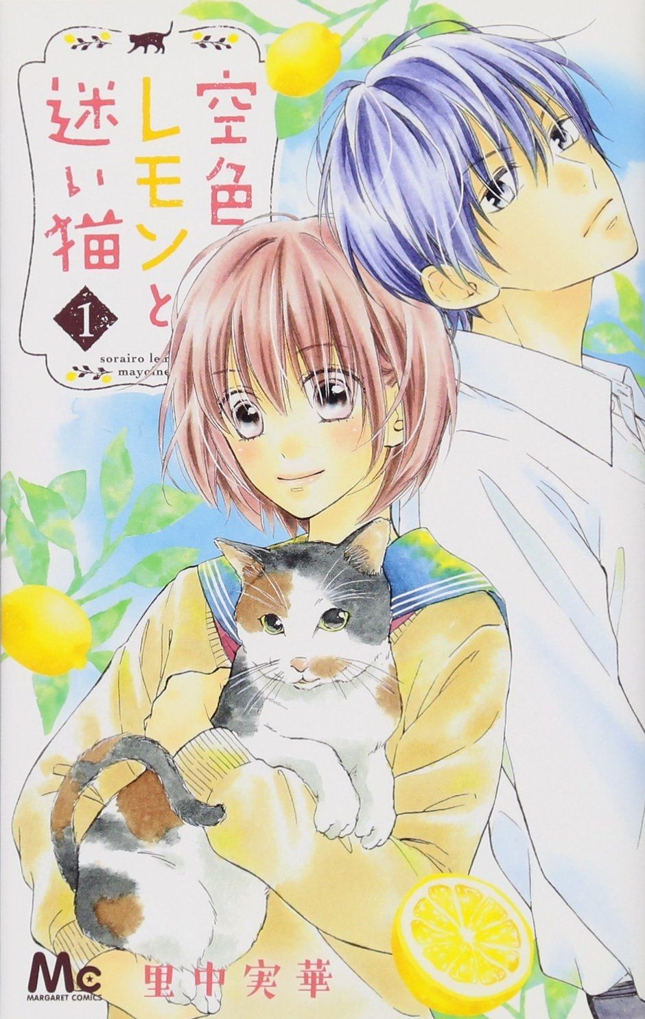 Stray Cat and Sky Lemon 1