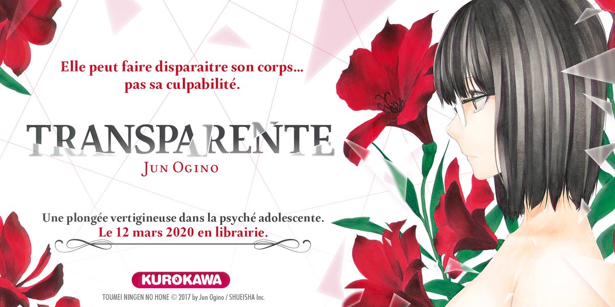 Transparente Annonce