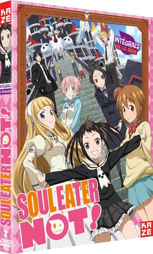 Soul Eater Not ! Série TV animée