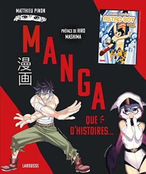 Manga - Que d'histoires... Ouvrage sur le manga
