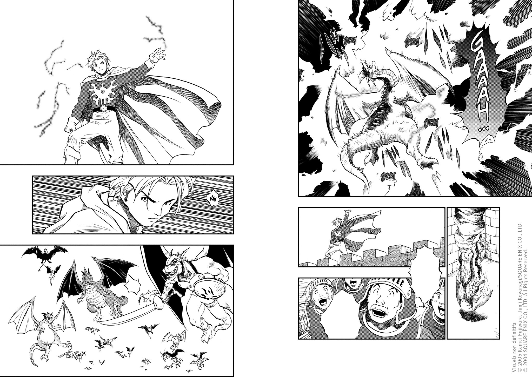 DQ Emblem of Roto Returns Planche