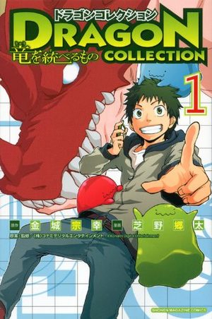 Dragon Collection - Ryû wo Suberumono Manga
