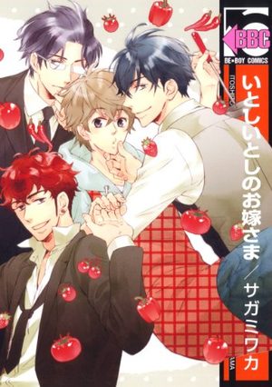 Itoshii Toshi no Oyomesama Manga