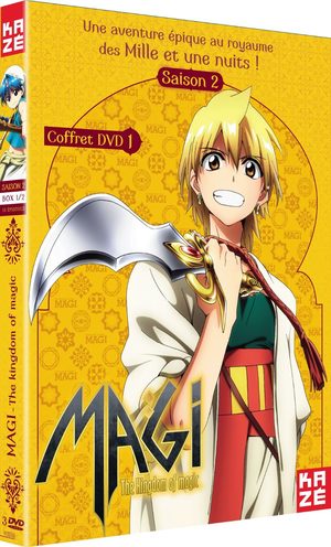 Magi - The Kingdom of Magic Série TV animée