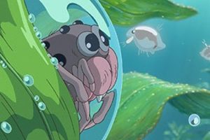 Mizugumo Monmon Film