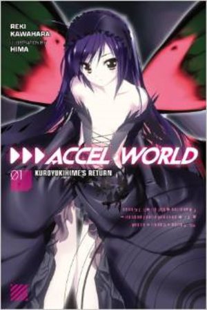 Accel World Light novel