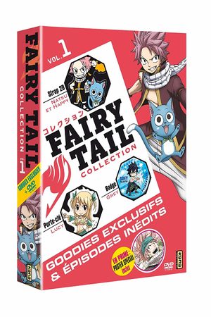 Fairy Tail Collection Série TV animée