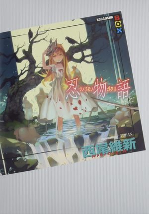 Shinobumonogatari Light novel
