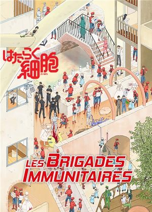 Les Brigades Immunitaires Série TV animée
