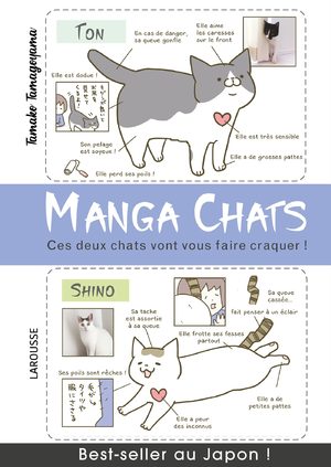 Manga chats Manga