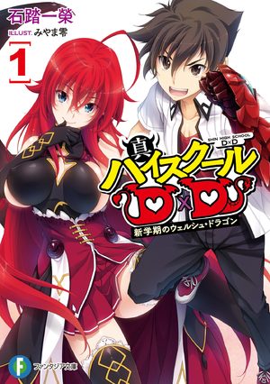 Shin High School DXD Light novel