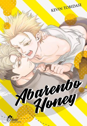 Abarenbo Honey Manga