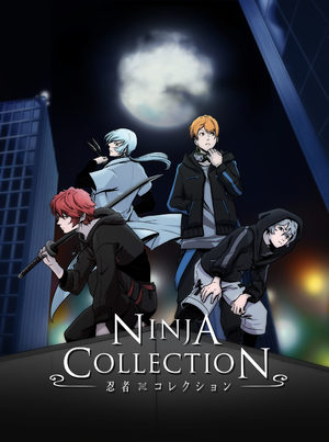 Ninja Collection Série TV animée