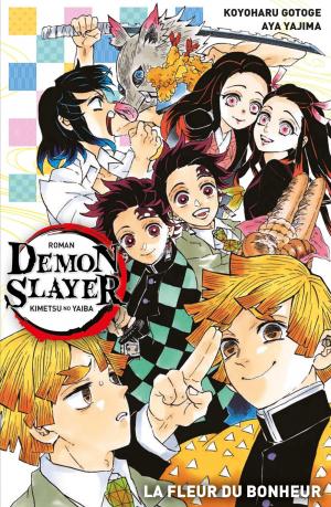 Demon Slayer - Romans Light novel