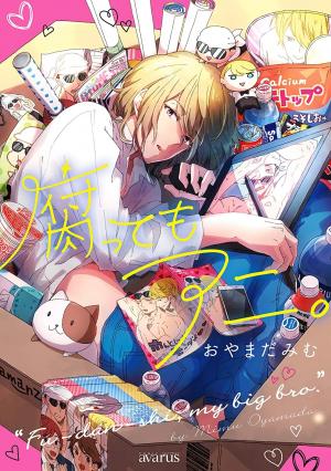 Mon frère, cet otaku Manga