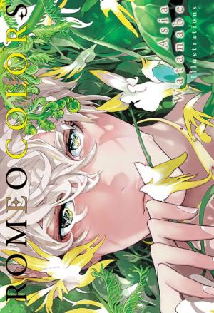 Romeo Colors Artbook Artbook