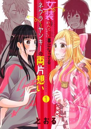 Amour travesti Manga