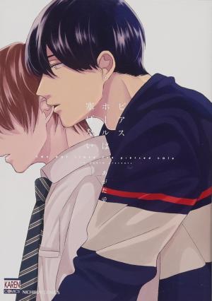 Pierce Hole wa Fusagenai Manga