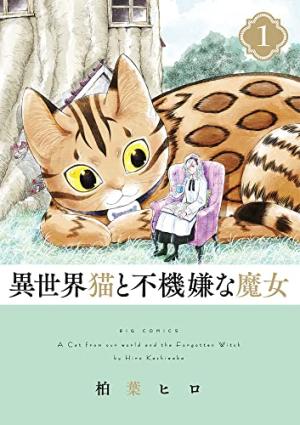 Le Gros Chat Et La Sorciere Grincheuse Manga