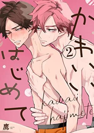 Kawaii Hajimete Manga