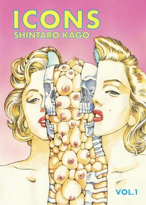 Icons Artbook