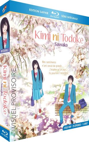 Kimi ni Todoke - Sawako Série TV animée