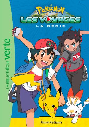 Pokémon - Les voyages Roman