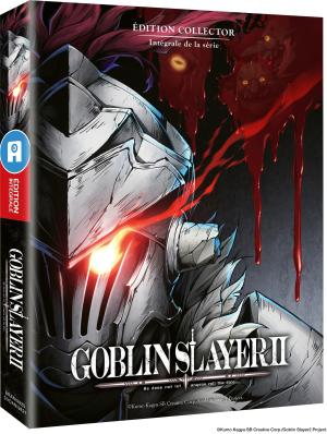Goblin Slayer II Série TV animée