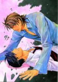 Hajishirazu na yoru Manga