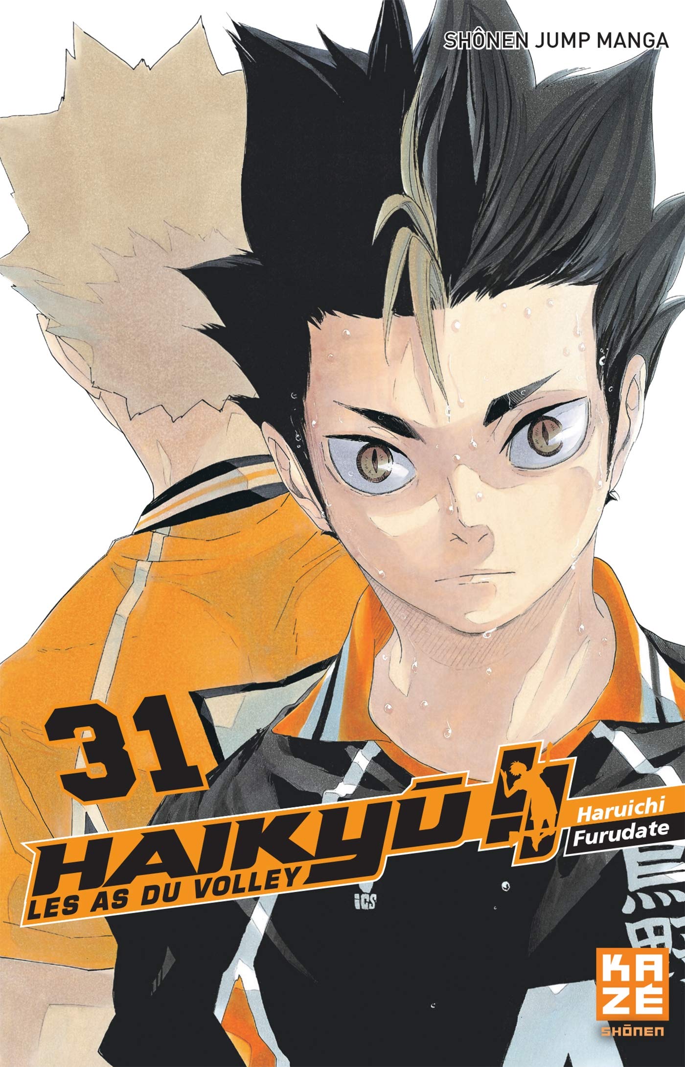 Mha Tome 31 édition Limitée