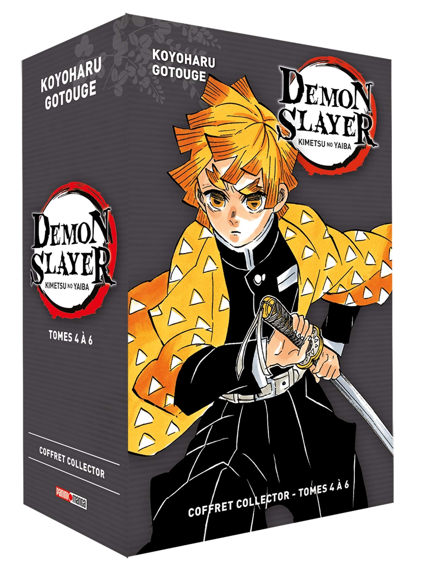 Demon Slayer Manga Nombre De Tome