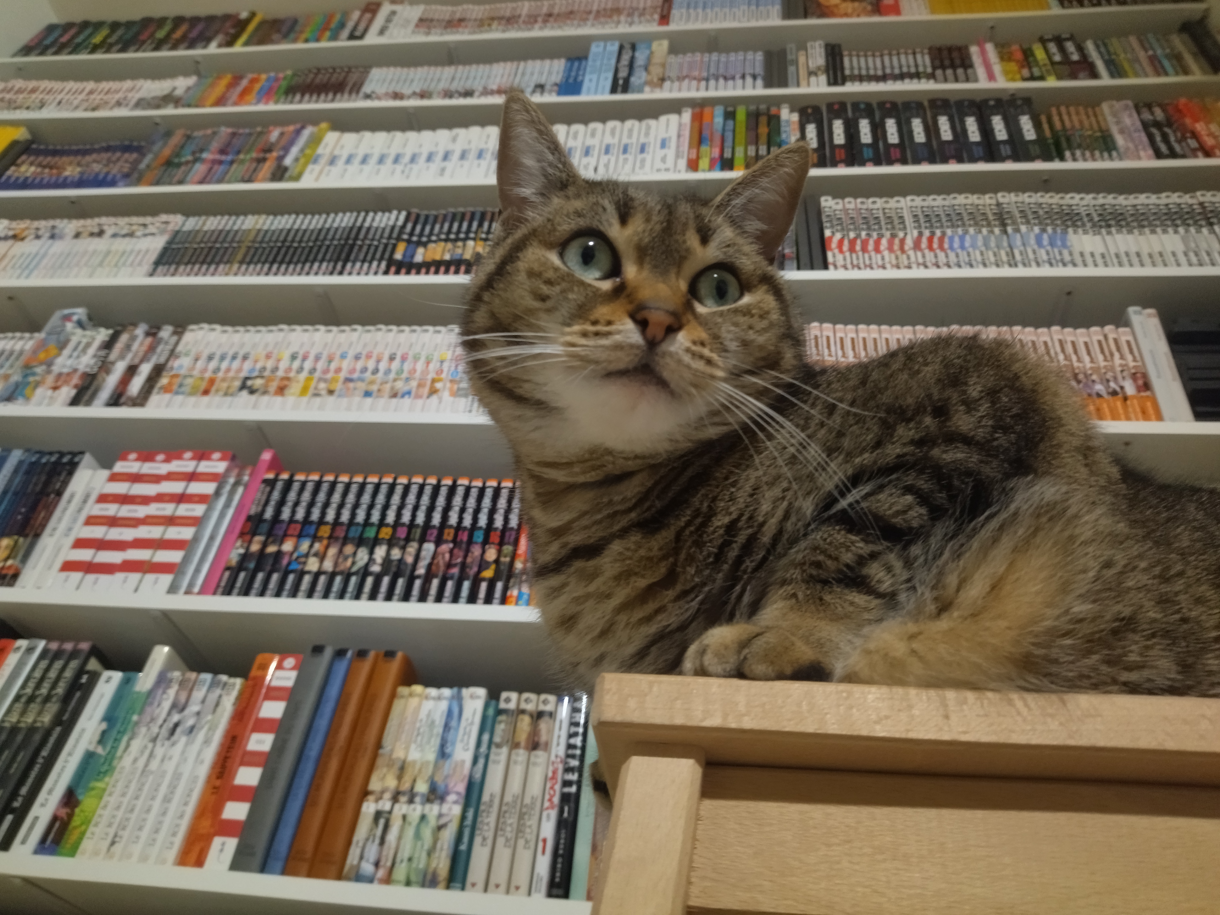 Tukchan