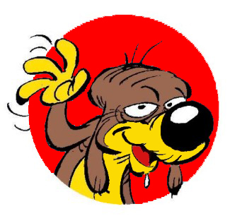 avatar membre c-real